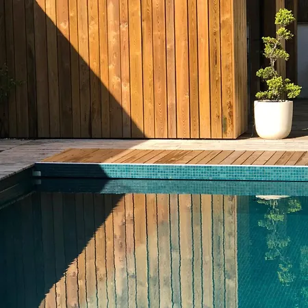 Particulier Vintage And And Design House With Pool Villa Lyon
