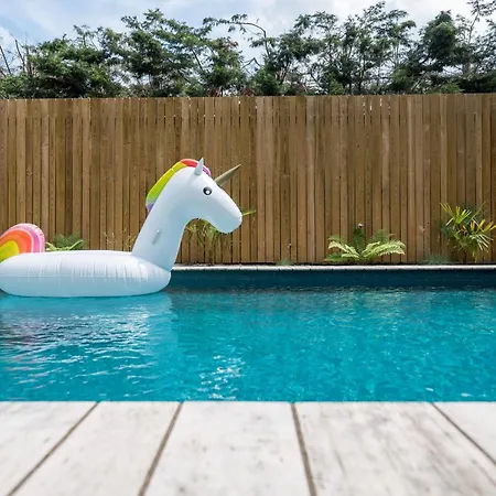 Villa Particulier Vintage And And Design House With Pool Lyon